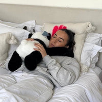 The CalmPanda - TheCalmHaven